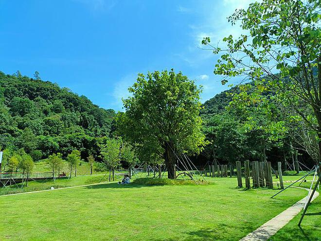 日本遭遇6.2级地震：灾难之下的民众生活与未来重建